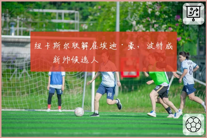 纽卡斯尔联解雇埃迪·豪，波特成为新帅候选人
