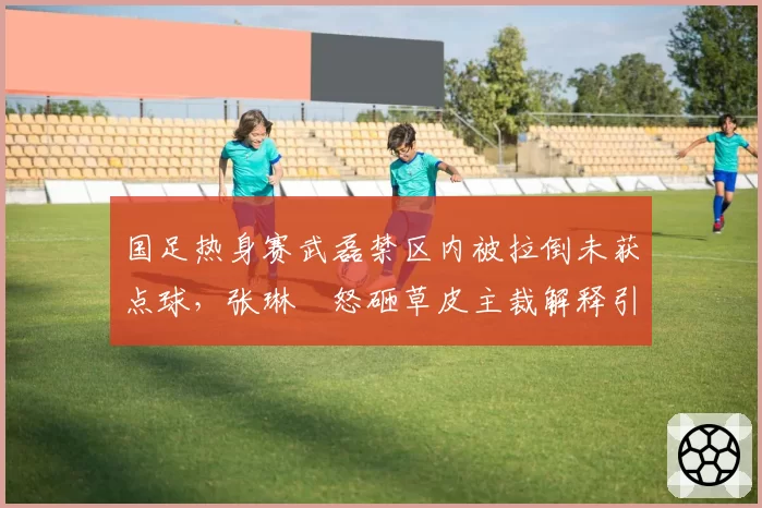 国足热身赛武磊禁区内被拉倒未获点球，张琳芃怒砸草皮主裁解释引翻译误差误会