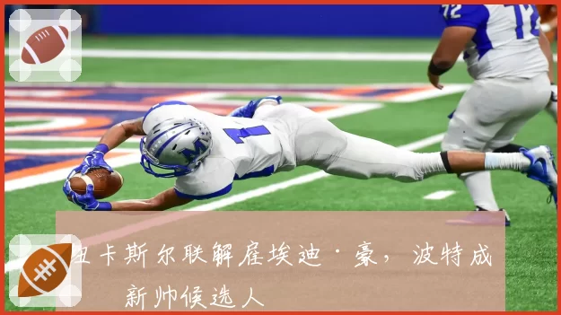 纽卡斯尔联解雇埃迪·豪，波特成为新帅候选人