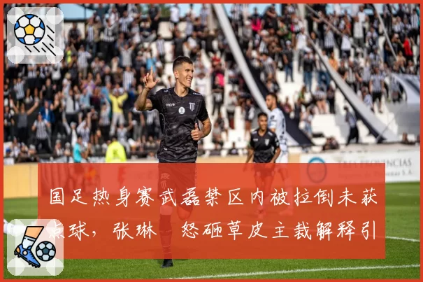 国足热身赛武磊禁区内被拉倒未获点球，张琳芃怒砸草皮主裁解释引翻译误差误会