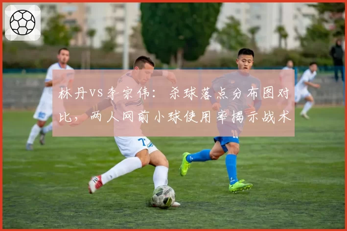 林丹vs李宗伟：杀球落点分布图对比，两人网前小球使用率揭示战术差异