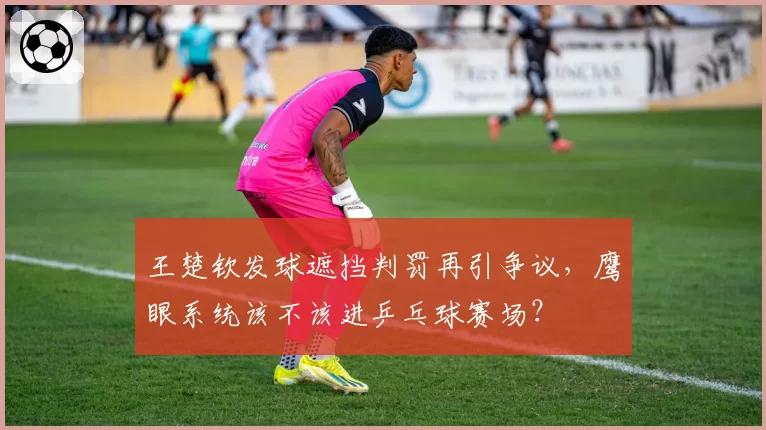 王楚钦发球遮挡判罚再引争议,鹰眼系统该不该进乒乓球赛场?