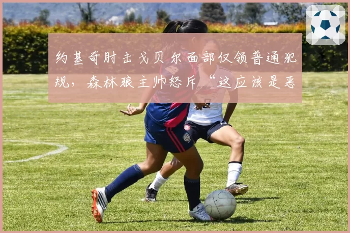 约基奇肘击戈贝尔面部仅领普通犯规，森林狼主帅怒斥“这应该是恶意犯规”